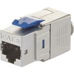 KSV8 Module RJ45 encastrable Keystone cat 8.1 D854871 - Renkforce