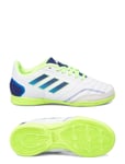 Adidas Performance Top Sala Competiton Football Boots Indoor Vit