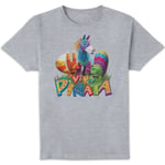 Viva Pinata Group T-Shirt - Grey - XXL