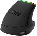 Delux M618DB Wireless Vertical Mouse