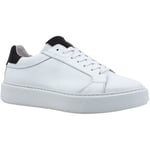 Chaussures Café Noir  CAFENOIR Sneaker Pelle Uomo Bianco PZ1000