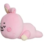 BT21 COOKY Baby Mini Pillow Cushion