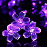 KINGCOO Solar Flower String Lights Outdoor, Waterproof 21FT 50LED Peach Cherry Blossom Solar Fairy String Lights 8modes for Gardens Indoor Home Wedding Christmas Party Decorations(Purple)