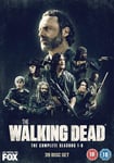 The Walking Dead  Sesong 18 DVD