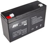 DSK 10321 - Batterie au Plomb AGM Rechargeable scellée 6V 12Ah. Idéal pour Les Voitures et Les Motos électriques pour Enfants, Scooters, systèmes UPS, systèmes de sécurité. Le Gel ne se renverse Pas