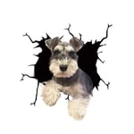 Bildekal Schnauzer