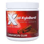 Xylitol Cinnamon Gum 100 Count By Xyloburst