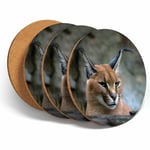 4 Set - Caracal African Lynx Cat Coasters - Kitchen Drinks Coaster Gift #3171