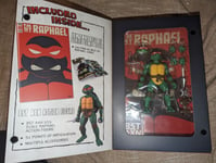 Teenage Mutant Ninja Turtles BST AXN x IDW Action Figure & Comic Book Raphael