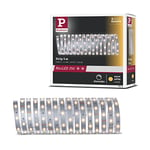 Paulmann 79855 LED MaxLED 250 5 m Blanc Chaud IP20 INCL 1x20 Watts Strip Bande Lumineuse 2700 K, MatiÃšre Plastique, 19 W, Argent