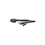 Scart Out to SVHS Video Input and Twin RCA Phono Audio Gold Cable Lead 1.5 me...