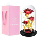 Rose Eternelle sous Cloche,Cadeau pour la Saint Valentin,Rose Eternelle Cadeaux de Fête des Mères,Artificielle Fleur Rose Lumière avec Lumières LED,Romantiques Cadeau pour Maman Anniversaire Femme