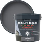 Peinture extérieure façade conditions extrêmes GoodHome gris Oakland 5L