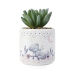 Me to You Tatty Teddy Artificial Succulent in Moon and Stars Plant Pot - Official Collection