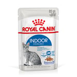 Royal Canin Indoor Sterilised i gelé - 24 x 85 g