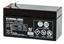 AGM-batteri 12 V