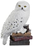 PAN Vision Harry Potter figuuri (Hedwig)