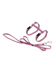 Flamingo - Ziggi Cat harness with line - Pink