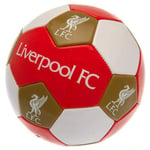 Liverpool F.C. Football Size 3 Official Merchandise