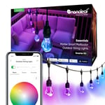 nanoleaf Outdoor Garden Gem String Lights Mains Powered, 15M Multicolor Festoon Party Light Starter Kit, 20 Addressable RGBWIC LED Bulbs, IP65 Waterproof, Matter Over WiFi, Smart App & Voice Control