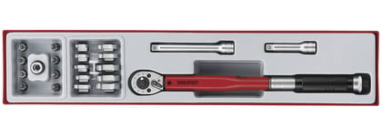 Teng Tools Momentnyckelsats TTX3892 3/8 20-100Nm