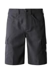 THE NORTH FACE Horizon Shorts Asphalt Grey 38