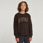 Kids Sweater Unbrushed - Brown - boys