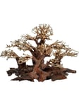 4FISH Tree roots Mini forest 40x20x25 cm