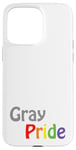 Coque pour iPhone 15 Pro Max Gris Pride coloré