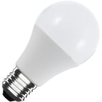 Ampoule led 12/24V E27 10W 820 lm A60 Blanc chaud 3000K