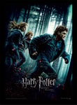 Harry Potter Framed Print, Deathly Hallows Part 1, 30 x 40 cm