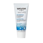 Salt Toothpaste 2.5 OZ By Weleda