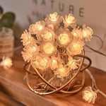 Boll ljusslinga rum atmosfär bubbla boll ljusslinga utomhus batterilåda dekoration stjärnljus Rose flower light string warm white 6m 40 lights battery + USB