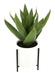 Flair Flower Agave Artificiel en Pot avec Armature - Plante succulente - Feuille épaisse - Cactus - Aloe Vera - Plante d'intérieur - Sansevieria succulente - Kalanchoe - Décoration en Pot - Yucca