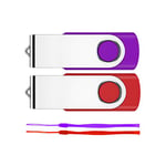 Cle USB, Clé USB 64Go, Fesaymi Clef USB Lot de 2 Mémoire Stick 2.0 Flash Drive Rotation Disque de Stockage Externe