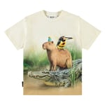 Molo Rubin Short Sleeve T-Shirt Capybara Chill | Beige | 152 cm