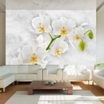 Fototapet Arkiio Lyrical Orchid White