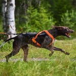 Non-Stop Dogwear Freemotion 5.0 Trekksele, Oransje & Svart (7)