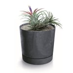 Botle Pot De Fleur Rond Anthracite Plastique Beton Effect Cache Pot 32,6 Cm Decoratif Bac A Plantes Avec Soucoupe Fleurs