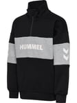 Hummel Heron Half Zip Genser Black