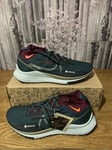 Nike React Pegasus Trail 4 Gore/Tex V2 Mens Size UK 10 EUR 45 US 11 HM9728-300