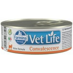 Aliments pour chat Farmina Vet Life Diet Convalescence Poulet 85 g