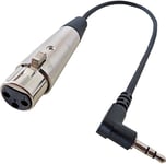 Keepdrum MC-025XJ Câble audio XLR femelle 0,3 m - Mini jack TRS 3,5 mm pour caméra DV