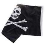 Piratflagg Jolly Roger 45cm