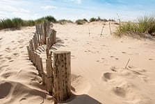 Paper Moon Dunes Sandy Beach Non-Woven Photo Wallpaper Digital Print Including Paste Various Sizes