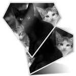 2 x Diamond Stickers 10 cm BW - Cute Kittens Black Tabby Ginger Cat  #43908