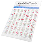 Practical Mandolin Chord Chart Fretboard Notes Coated Paper Adult Kid