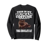 This is My Human Costume I'm Really A York Chocolate Cat Sweatshirt