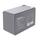 Qoltec 53049 Agm Battery | 12v | 12ah