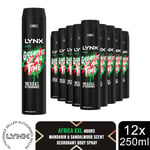 Lynx XXL Body Spray 48-H High Definition Fragrance Deodorant for Men 250ml, 12pk